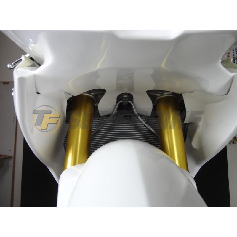 Carenado de fibra BMW S1000RR 2015-2018 colín racing