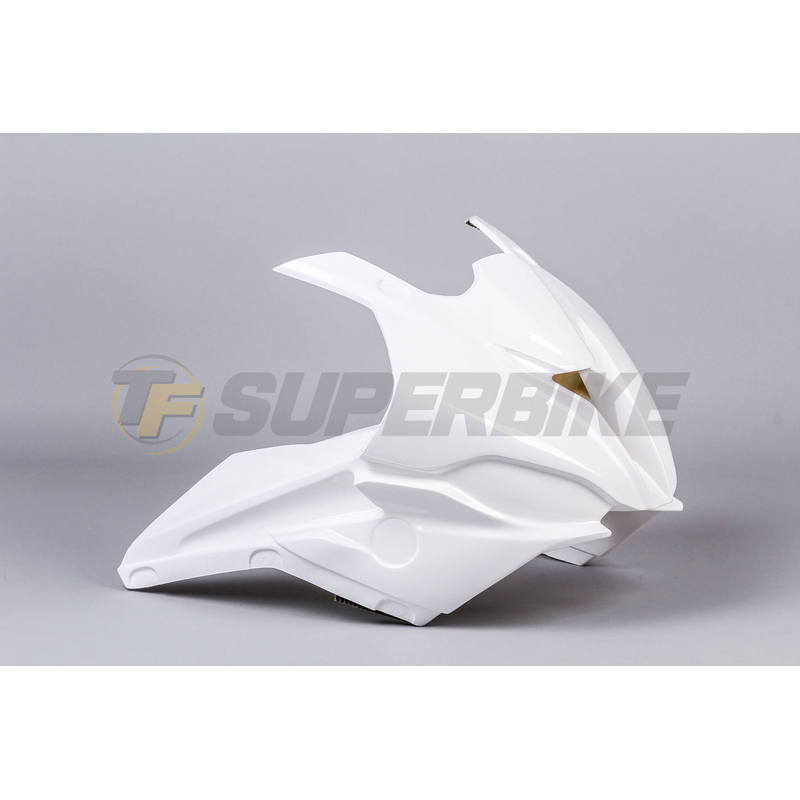 Frontal fibra de vidrio BMW S1000RR 2019-2025
