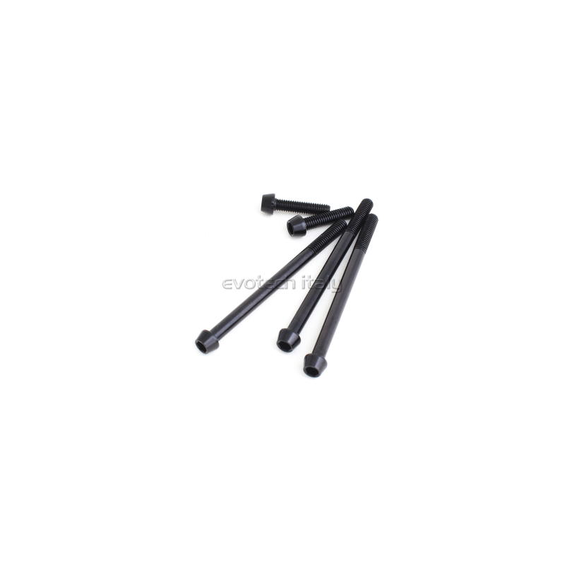 Kit tornillería tapa cárter transparente KTM 1390 Superduke/R