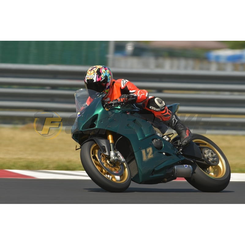 Carenado de fibra Ducati Panigale V4 / V4S / V4R 2018-2021 escape original