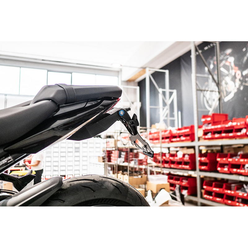 Porta matrícula Triumph Daytona 660 2024-