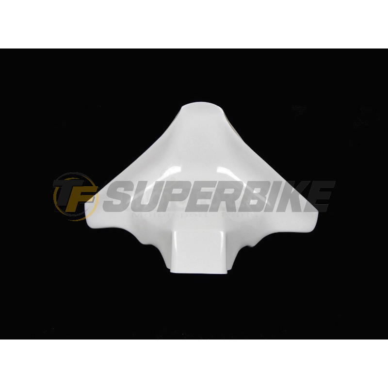 Ram air fibra de vidrio racing Ducati Panigale 899 / 1199