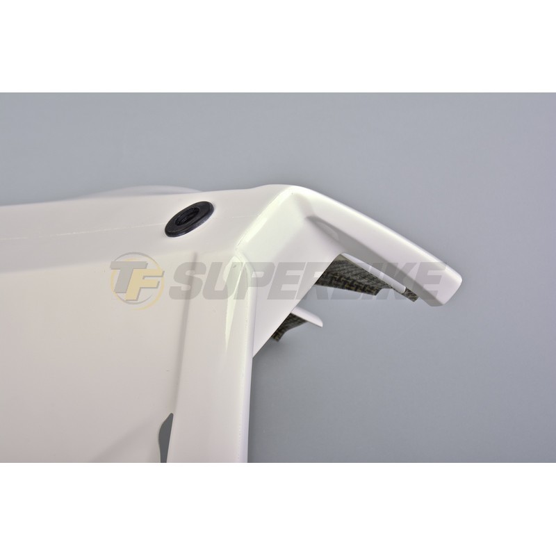 Quilla fibra de vidrio escape racing Kawasaki ZX10R 2016-2020