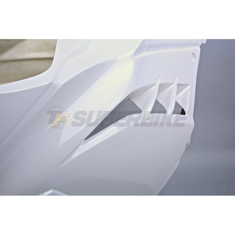 Frontal fibra de vidrio Kawasaki Ninja 300 2013-2017