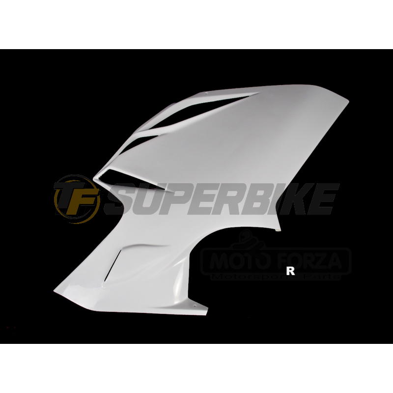 Carenado de fibra MV Agusta F4 MY1000 / F4 RR 2010-2019 colín racing
