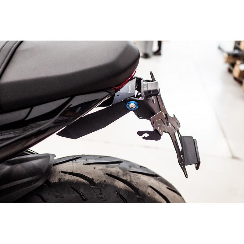 Porta matrícula Triumph Daytona 660 2024-