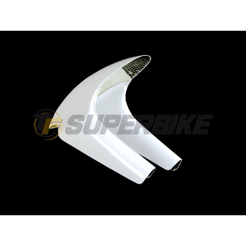 Guardabarros delantero fibra vidrio Aprilia RSW 250 GP 2006-