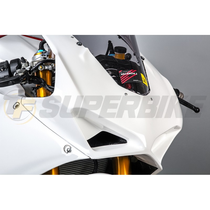 Frontal fibra de vidrio Ducati Panigale V4/V4S 2018-2019