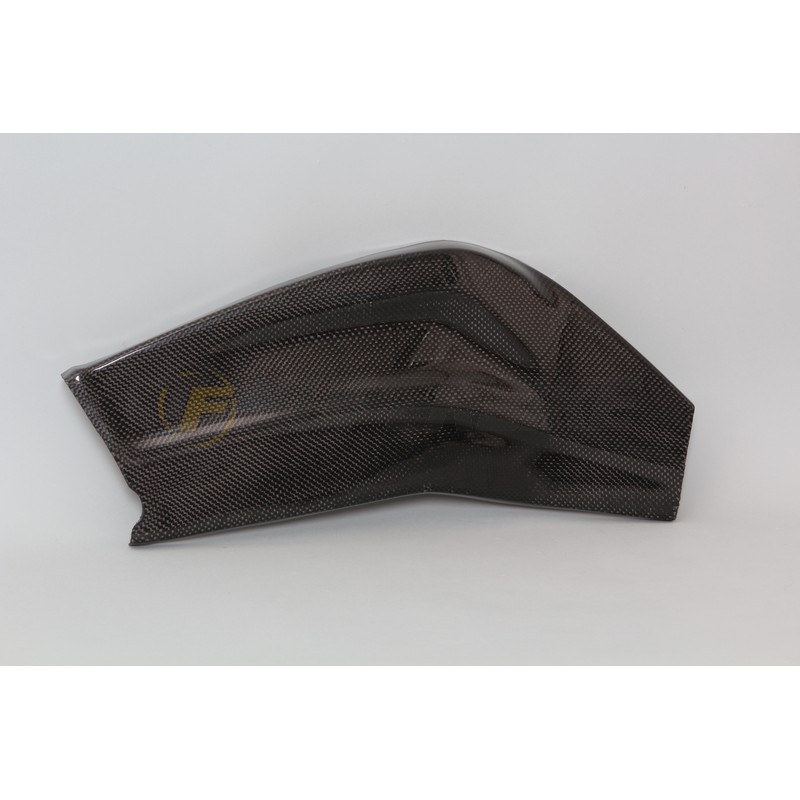 Protector basculante lado derecho BMW S1000RR 2009-2018 fibra de carbono
