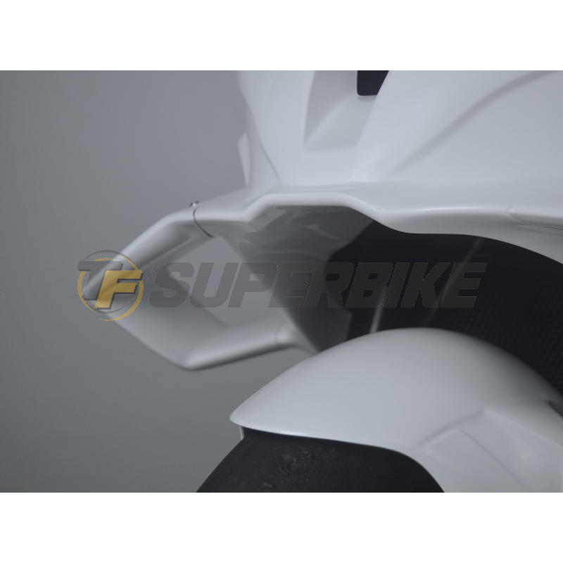 Kit transformación BMW S1000RR 2019-2024 a BMW S1000RR 2025+