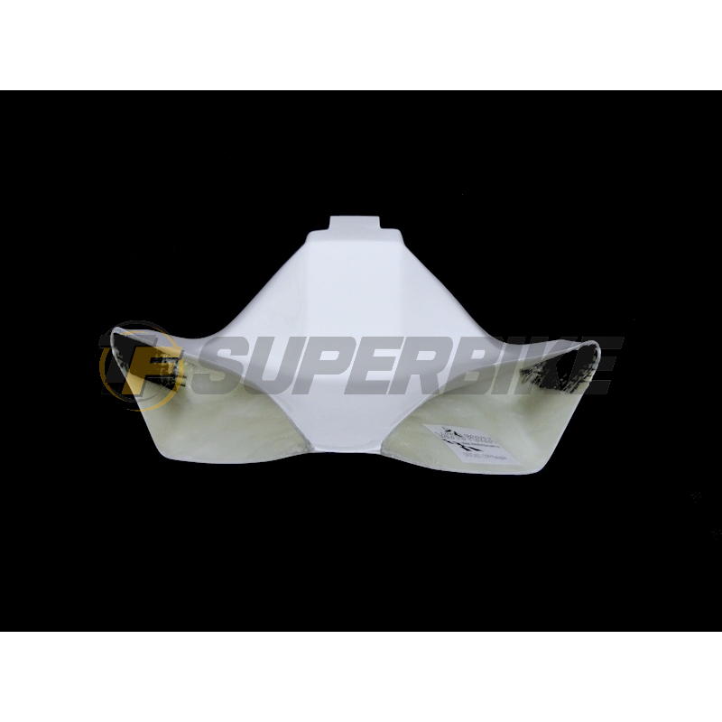Ram air fibra de vidrio Ducati Panigale 1299 2015-2017