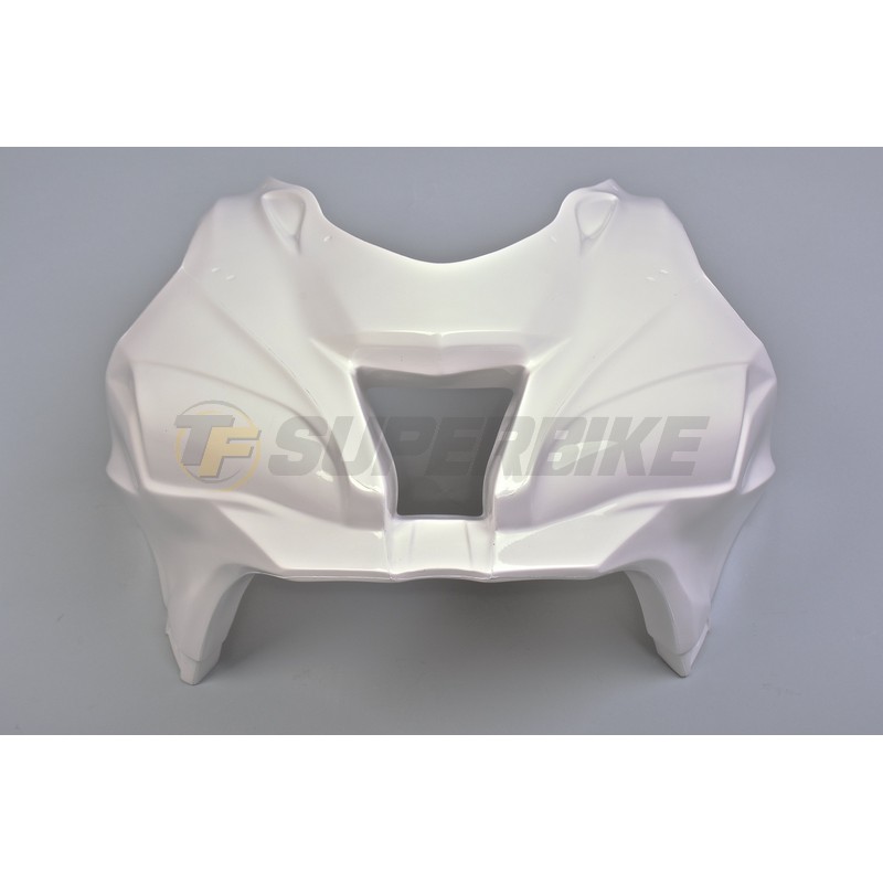 Frontal fibra de vidrio Kawasaki ZX10R 2016-2020