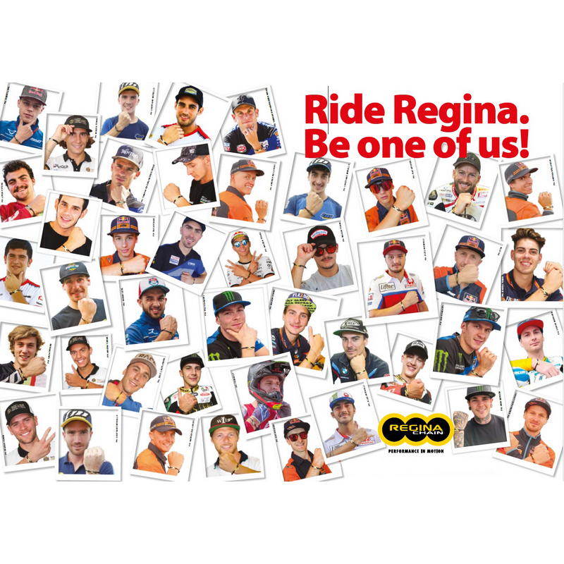 Cadena REGINA ZRP Ultra paso 520