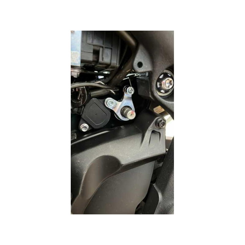 Reenvío cambio con rodamiento de agujas Triumph Speed Triple 1200 RS