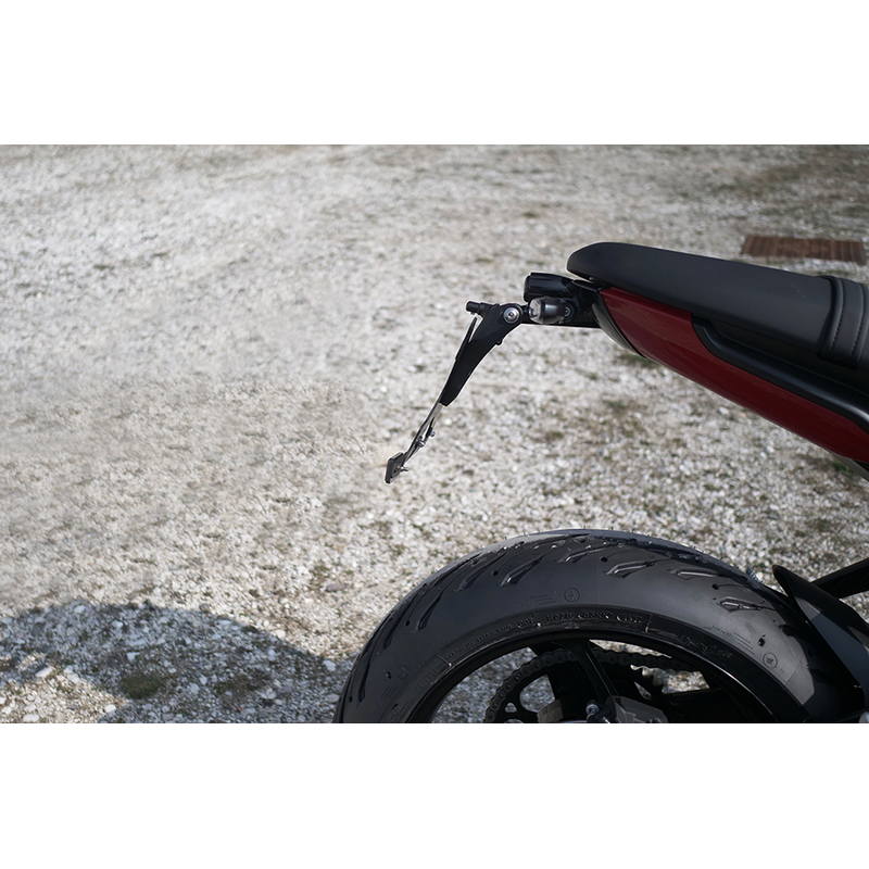 Porta matrícula Triumph Trident 660 2021-2025
