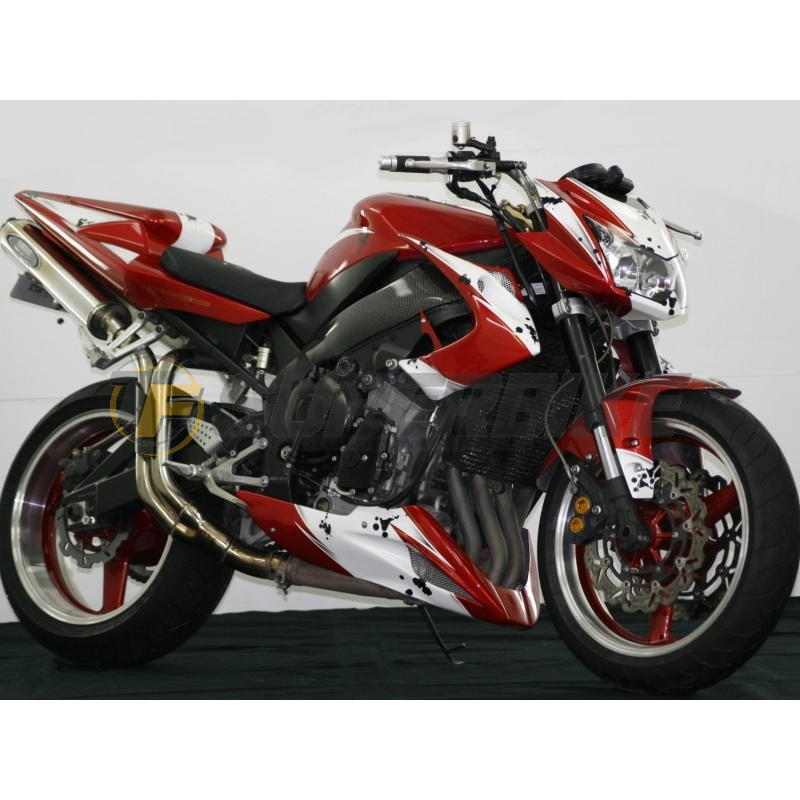 Quilla fibra de vidrio Kawasaki Z1000 2002-2006 / Universal