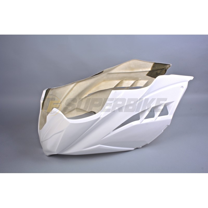 Frontal fibra de vidrio Kawasaki Ninja 300 2013-2017