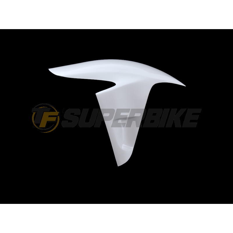 Guardabarros delantero fibra vidrio Ducati Panigale V2 2020-2024