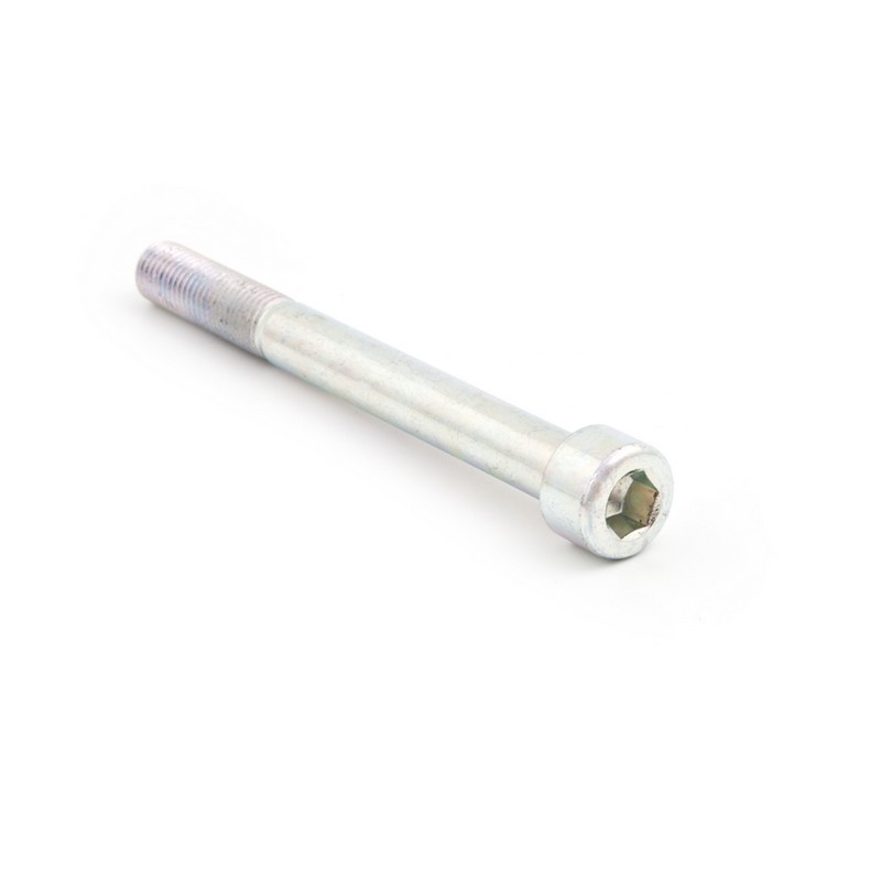 Tornillo de recambio acero 8.8 TCCE M10X120-1.5