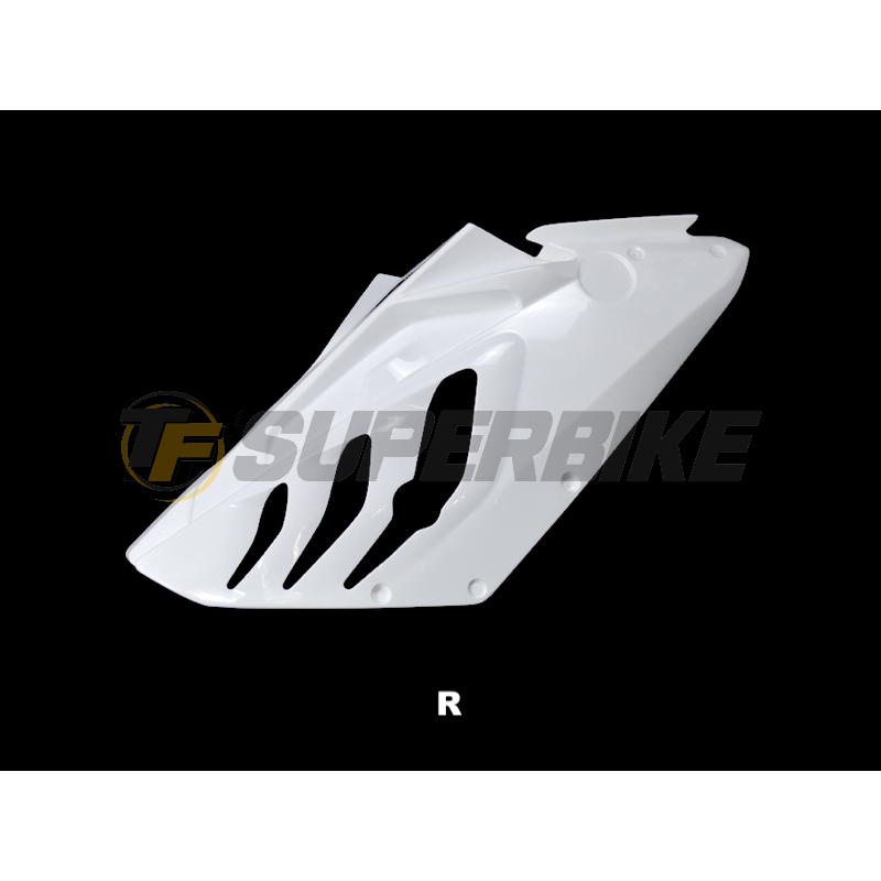Carenado de fibra Street BMW S1000RR 2009-2011