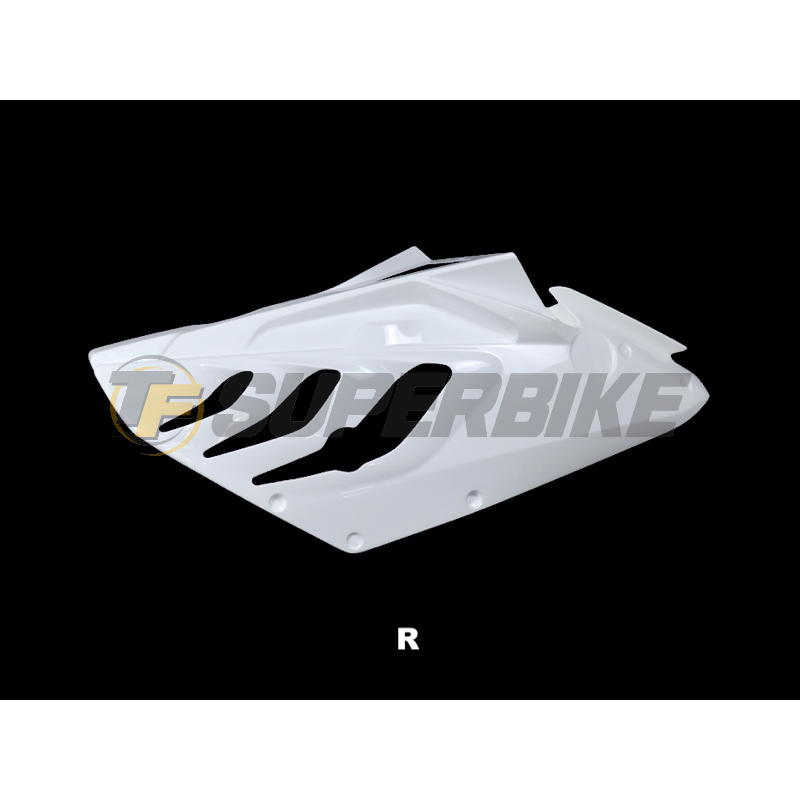 Carenado de fibra BMW S1000RR 2009-2011 colín racing