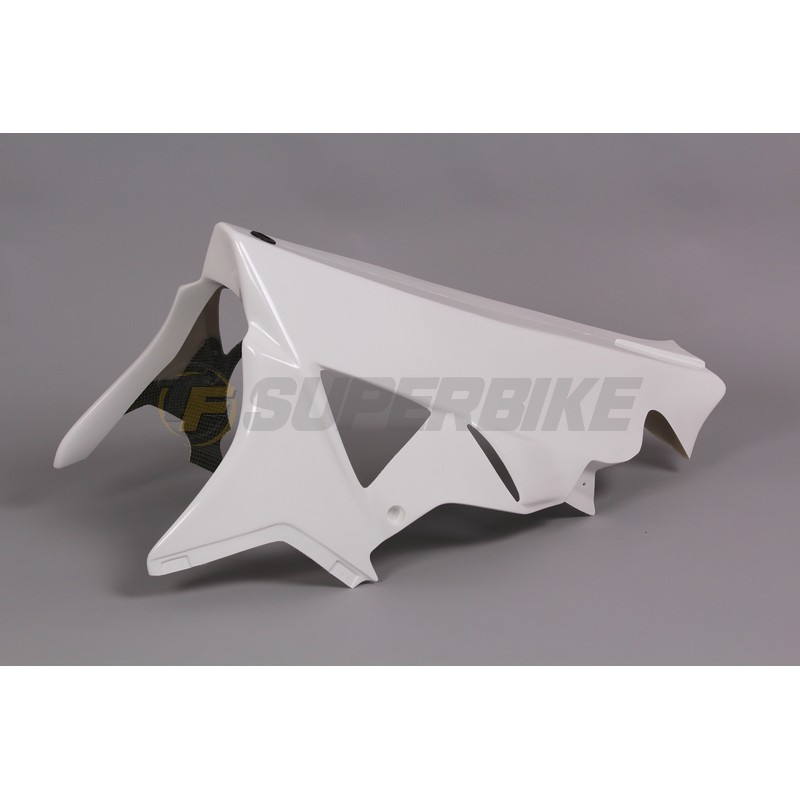 Quilla fibra de vidrio escape racing BMW S1000RR 2009-2014