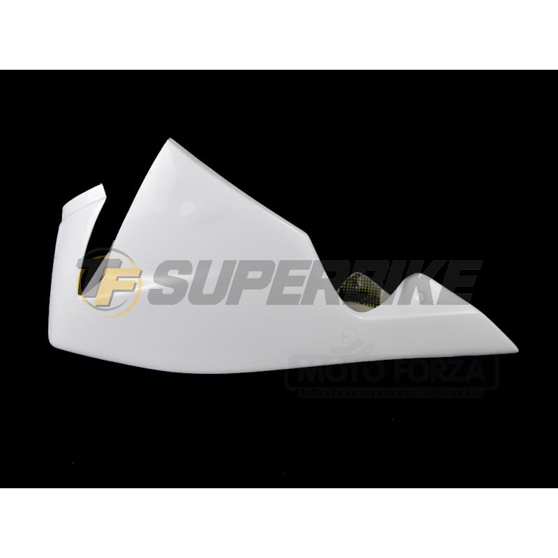 Carenado de fibra Street Kawasaki ZX-10R 2004-2005