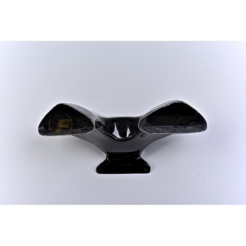 Ram Air central Ducati Panigale 1299 fibra de vidrio