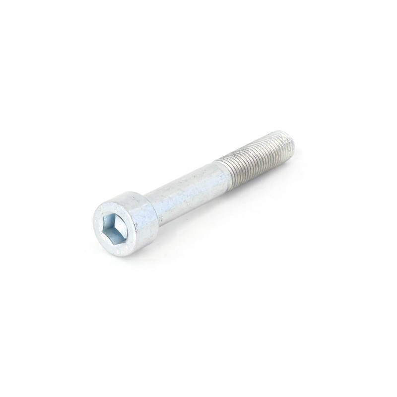 Tornillo de recambio acero 8.8 TCCE M10X70