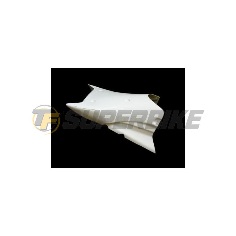 Carenado de fibra BMW S1000RR 2009-2011 SBK 6 piezas colín racing