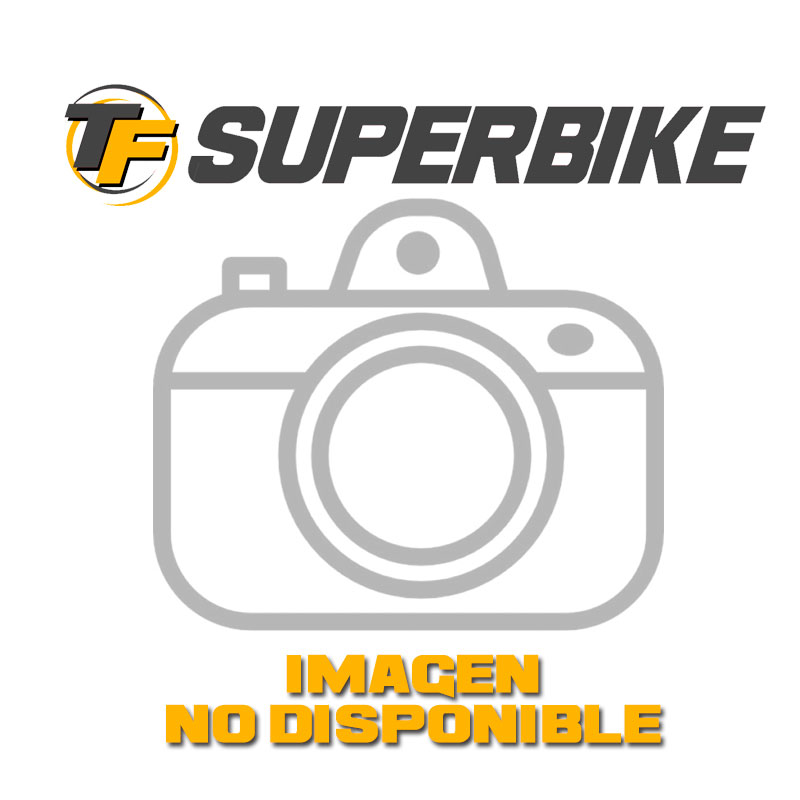 Guardabarros trasero Ducati Panigale 899