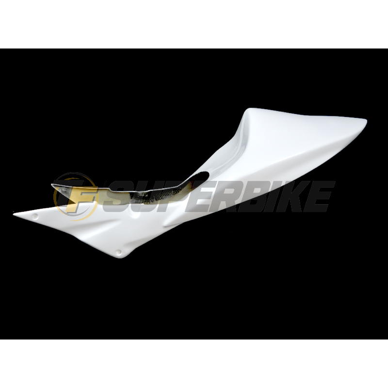 Carenado de fibra Kawasaki ZX-6R / RR / 636 / Ninja 2005-2006 colín asiento original