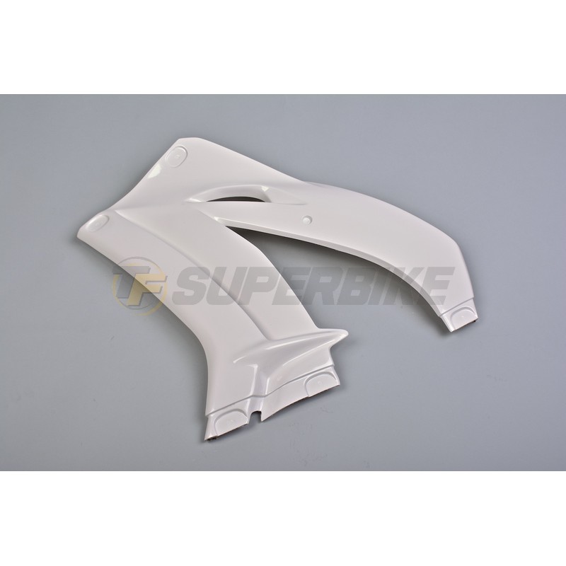 Lateral izquierdo fibra de vidrio Kawasaki ZX10R 2016-2020