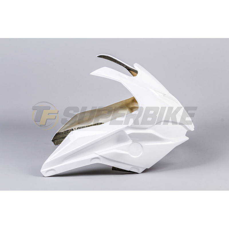 Frontal fibra de vidrio BMW S1000RR 2019-2025