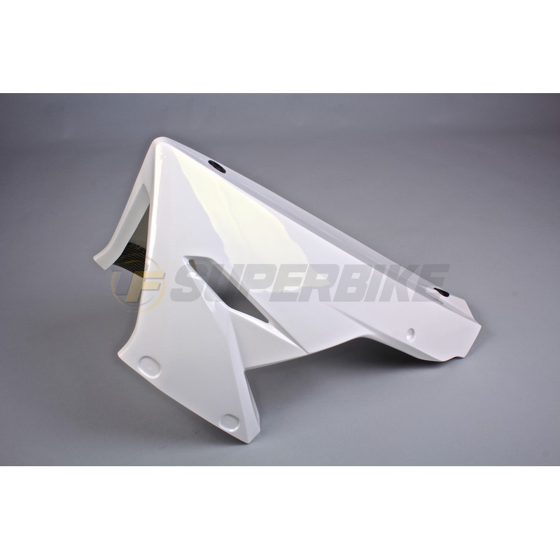 Quilla fibra de vidrio escape original Kawasaki Ninja 300 2013-2017
