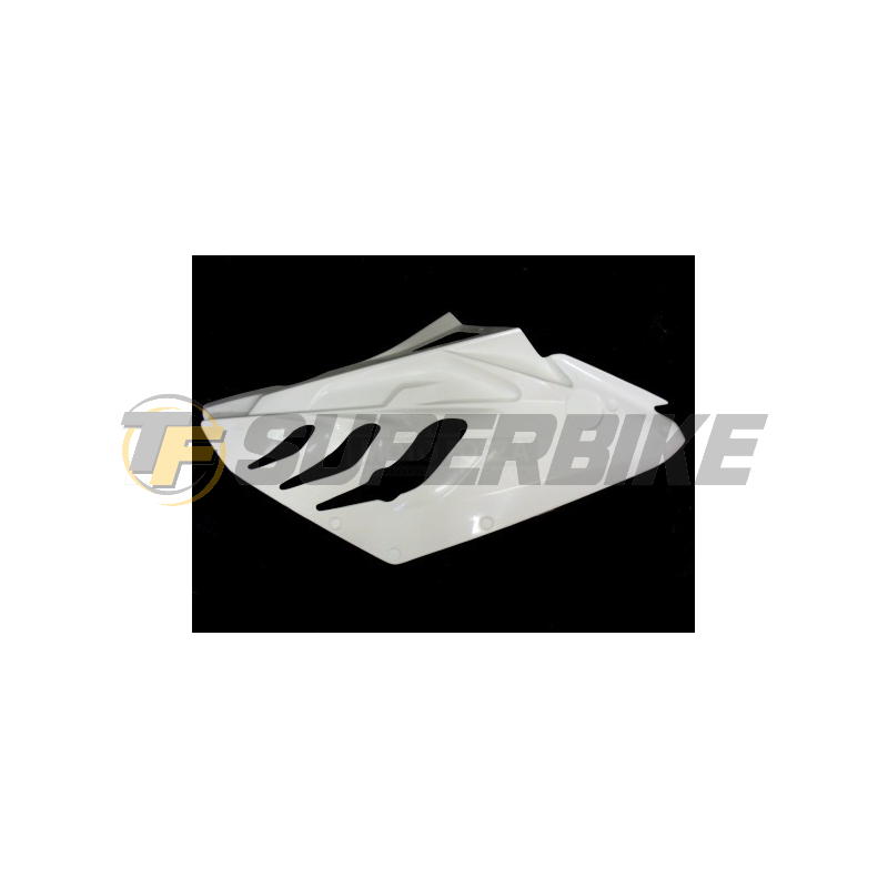 Carenado de fibra BMW S1000RR 2009-2011 SBK 6 piezas colín racing