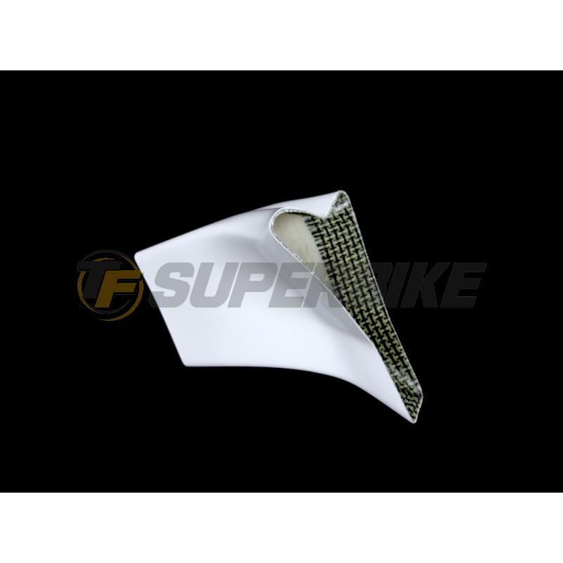 Ram air fibra de vidrio BMW S1000RR 2015-2018 para araña original o racing