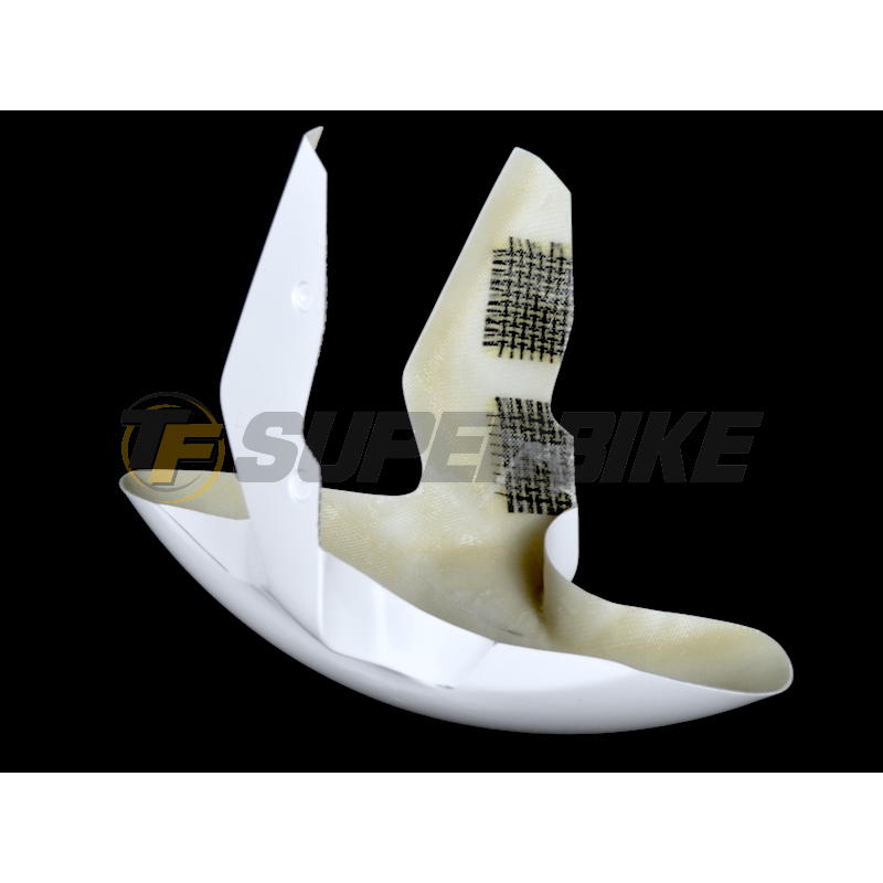 Guardabarros delantero fibra vidrio BMW S1000RR 2009-2016 / S1000R 2012-2014