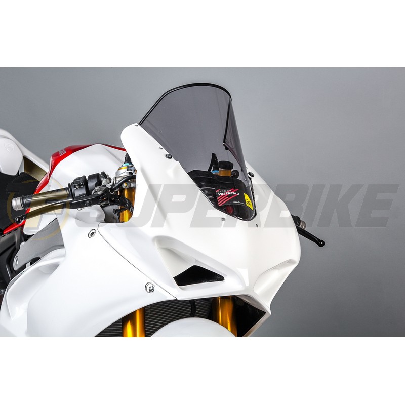 Frontal fibra de vidrio Ducati Panigale V4/V4S 2018-2019