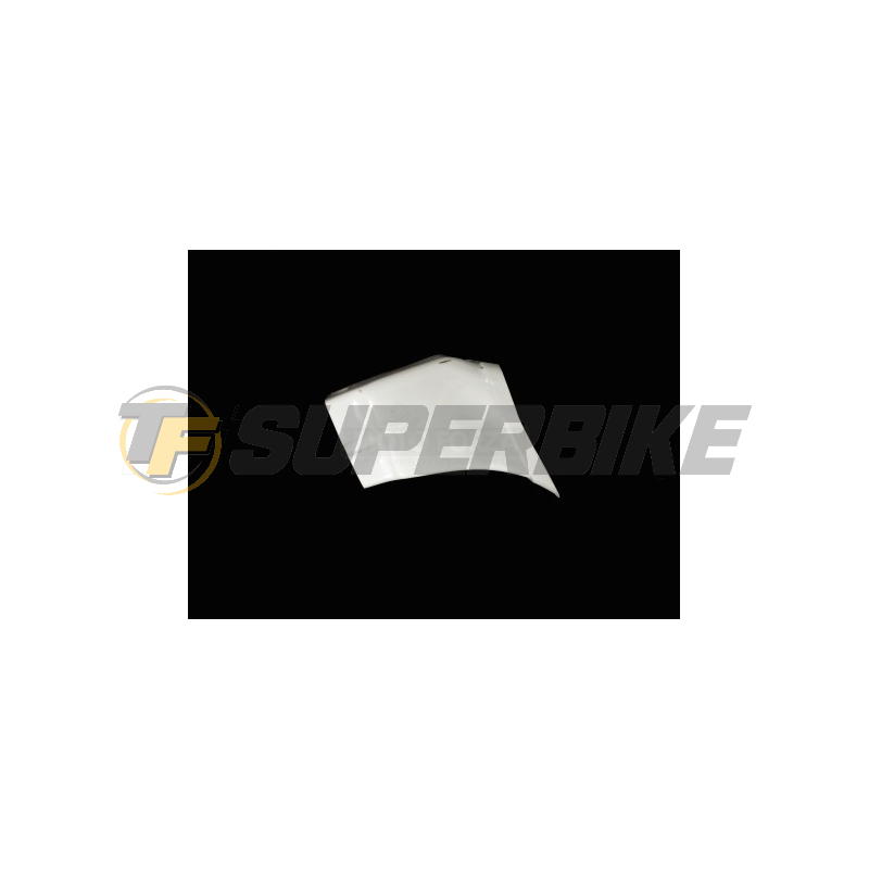 Ram air fibra de vidrio BMW S1000RR 2009-2011