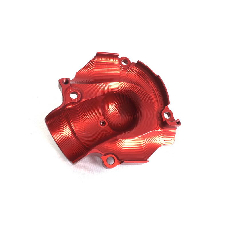 Protector bomba agua Ducati Hypermotard 950 / Multistrada 950 /S
