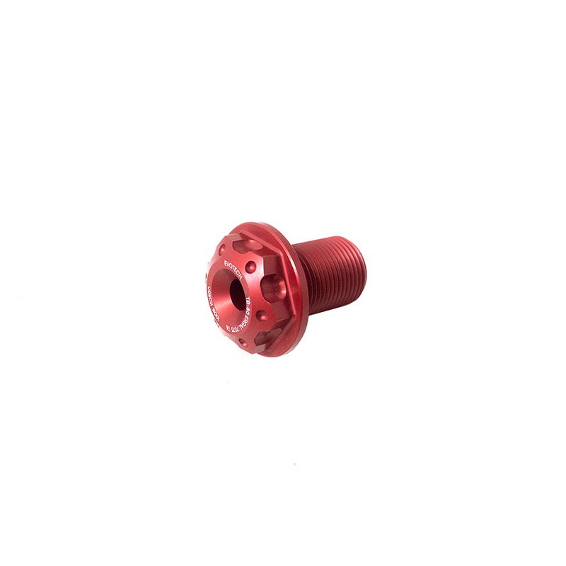 Tuerca Thunderbolt eje basculante BMW F900R M20x1,5