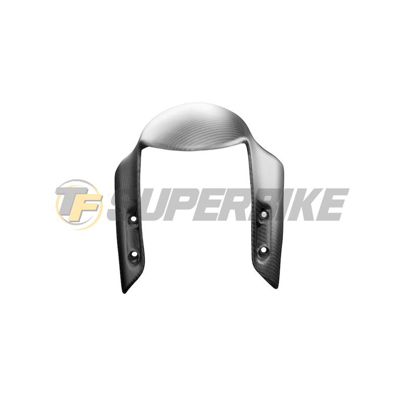 Guardabarros delantero fibra carbono Ducati Panigale V2 2020-2024