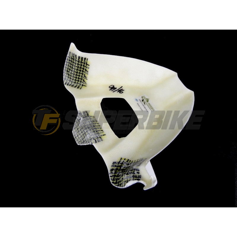 Guardabarros trasero fibra vidrio BMW S1000RR 2009-2018 / S1000R 2012-2018