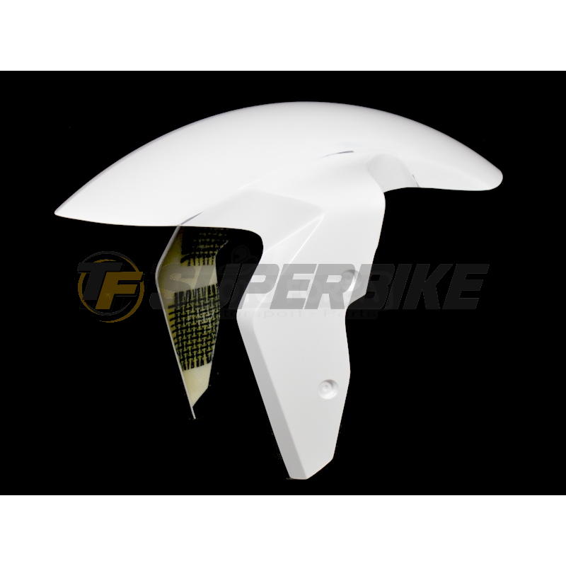 Guardabarros delantero fibra vidrio BMW F900R 2020-2024