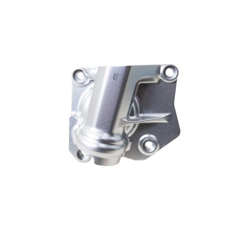 Protector bomba de agua Suzuki GSX-8S 2023-2025 / GSX-8T / GSX- 8TT