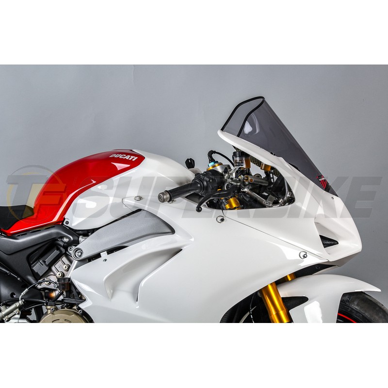 Frontal fibra de vidrio Ducati Panigale V4/V4S 2018-2019