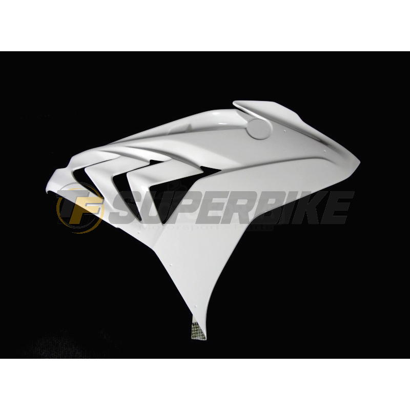 Carenado de fibra BMW S1000RR 2015-2018 colín asiento original v2