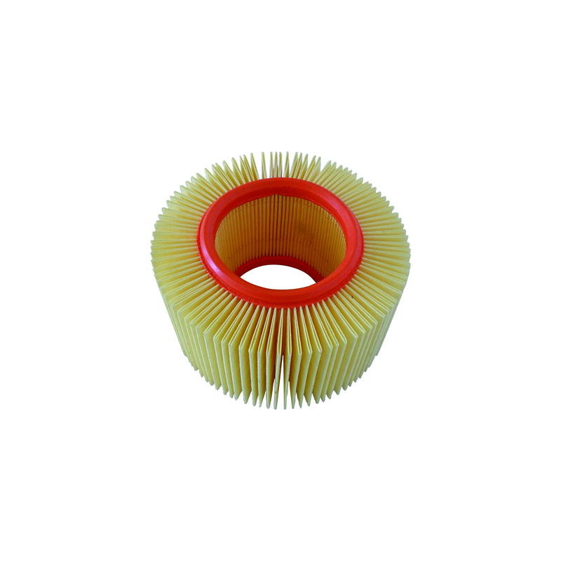 Filtro de aire CAF6910 BMW (varias hasta 2006)