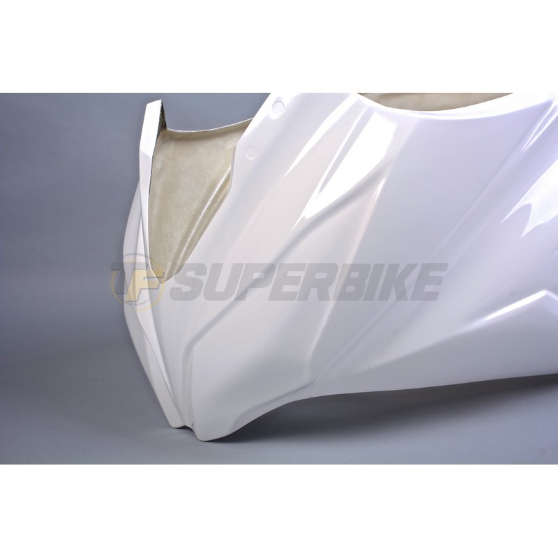 Frontal fibra de vidrio Kawasaki Ninja 300 2013-2017